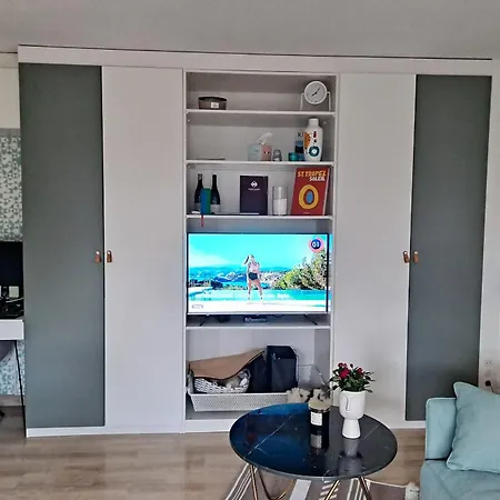 Henri Camille Real Estate -beautiful One Bedroom Swimming Pool And Parking Κάννες
